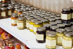 Post-Market Surveillance and Support