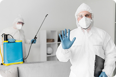 Safety and Efficacy Testing